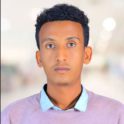 Portrait of Dawit Dibekulu Alem